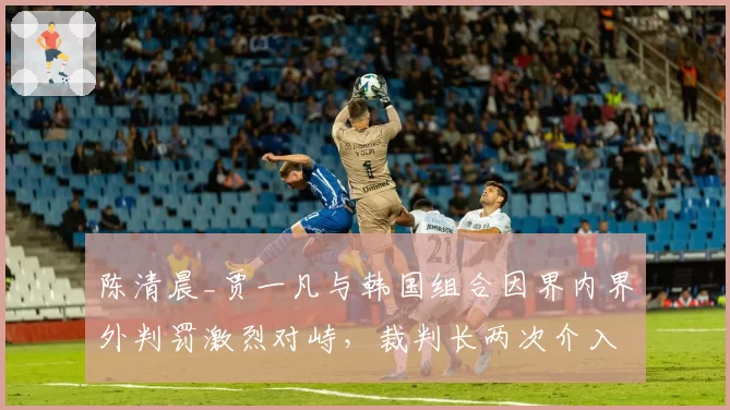 陈清晨_贾一凡与韩国组合因界内界外判罚激烈对峙，裁判长两次介入